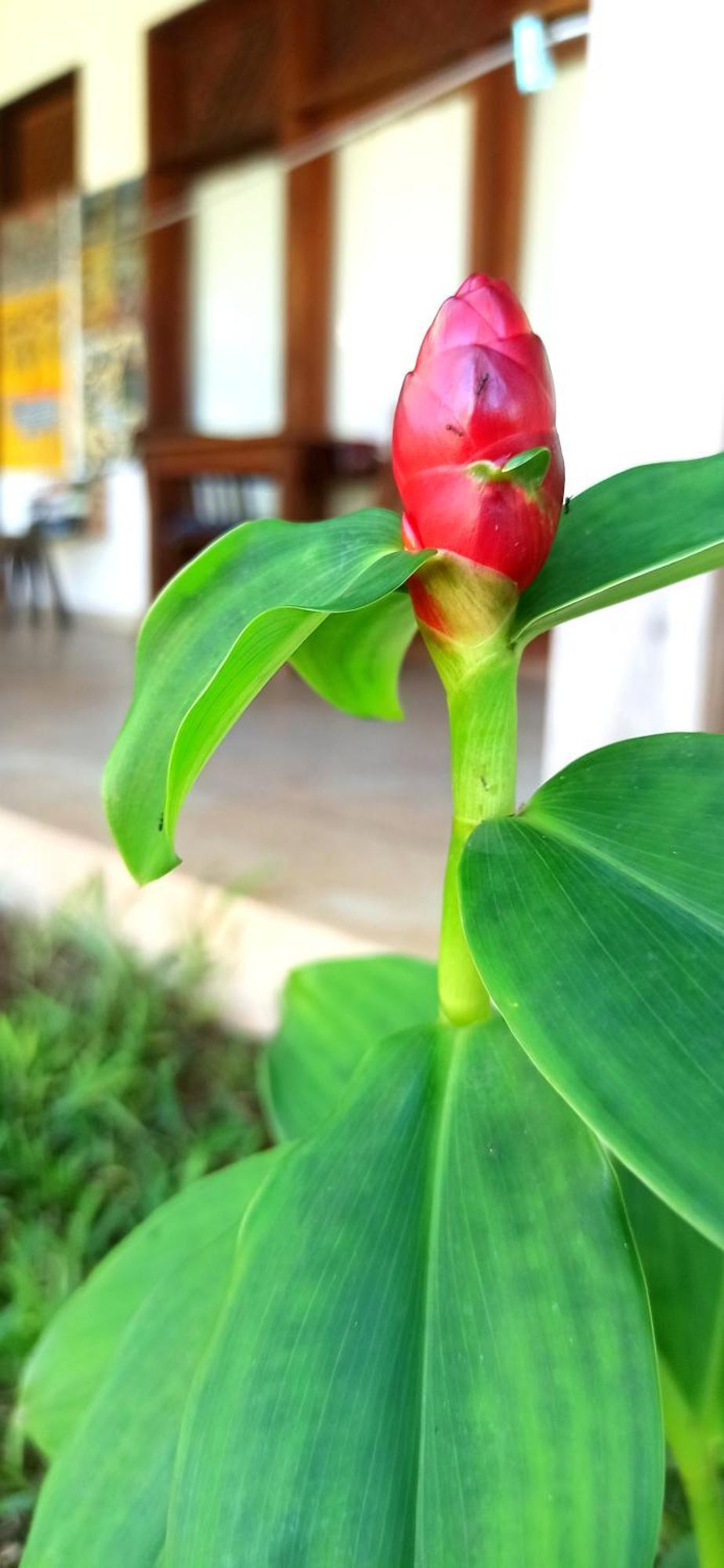 Art Hotel Zanzibar Jambiani  Ngoại thất bức ảnh