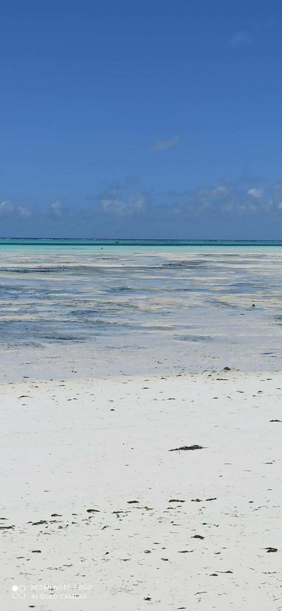 Art Hotel Zanzibar Jambiani  Ngoại thất bức ảnh