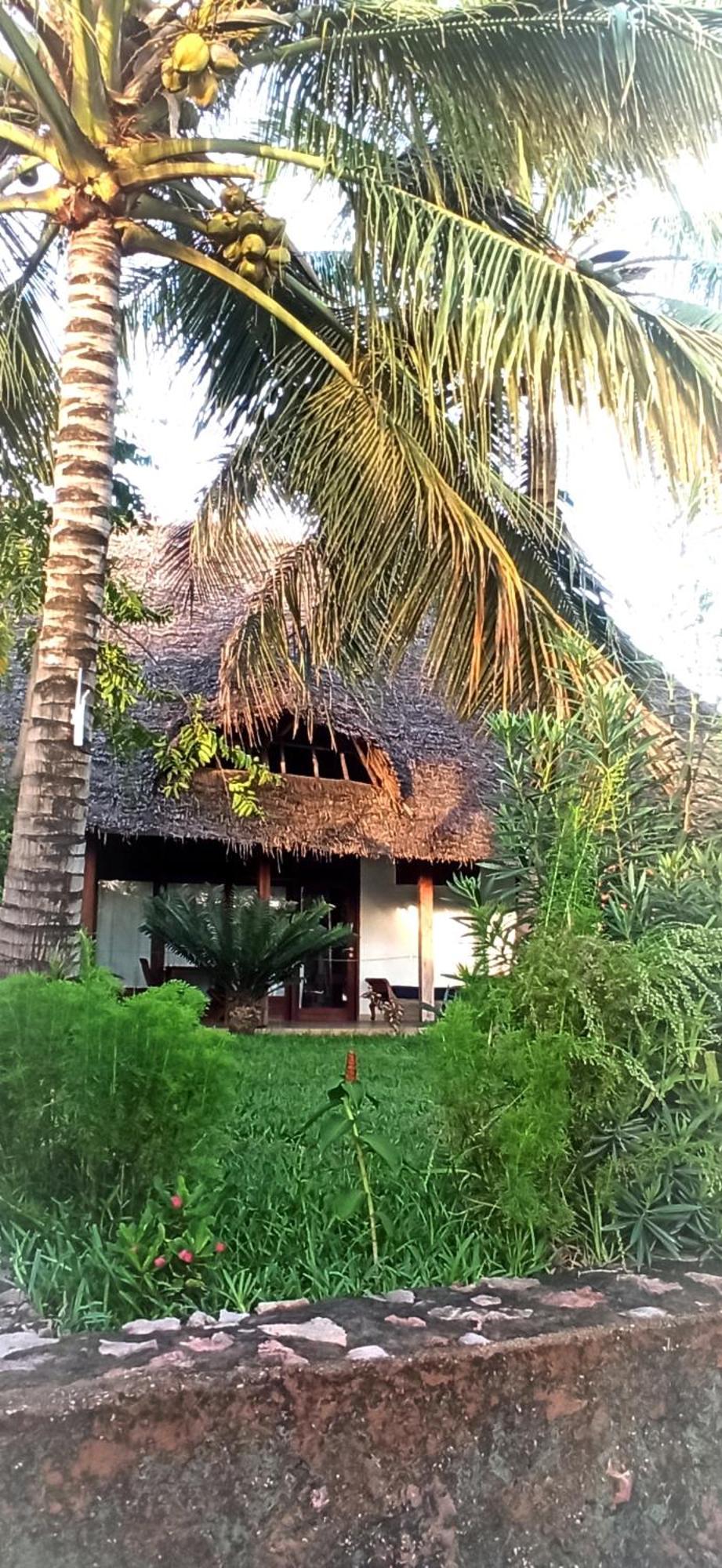 Art Hotel Zanzibar Jambiani  Ngoại thất bức ảnh